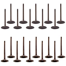 DNJ Engine 10 Intake & 10 Exhaust Valves Kit for Canyon Colorado H3 H3T i-370 L5