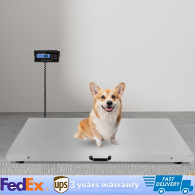 Heavy Duty Digital Livestock Vet Scale 1100 lb Stainless Steel 103 × 53 cm