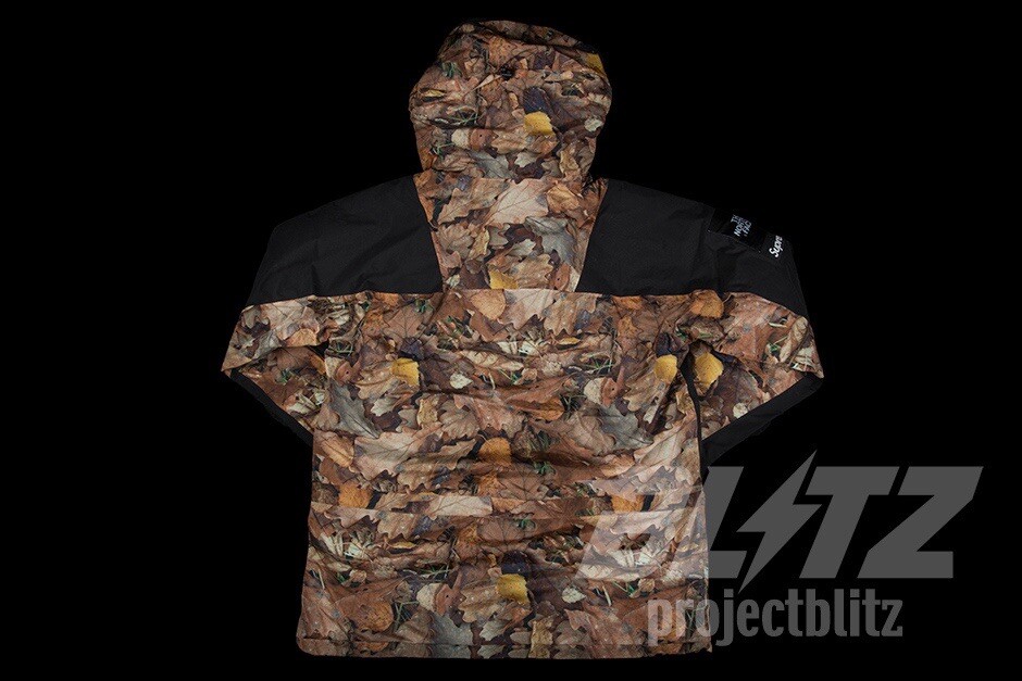 FW16 Supreme The North Face Mountain Light Jacket Size L LARGE TNF