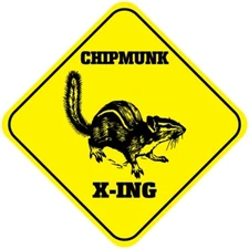 Yellow Aluminum Crossing Sign Chipmunk Cross Xing Style B Diamond Street Signal