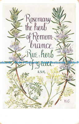 R670221 Rosmarin das Kraut der Erinnerung. Rue. Herb of Grace. Medici Gesellschaft. Th