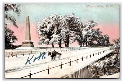 Phoenix Park Winter View  Dublin Ireland DB Postcard W22