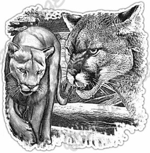 puma zombie cat decal