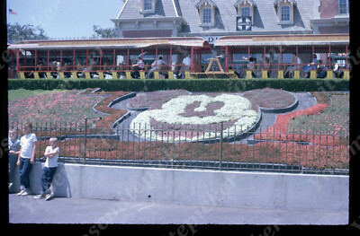 SL98 Original Slide 1963 Disneyland Mickey Mouse flower bed 670a
