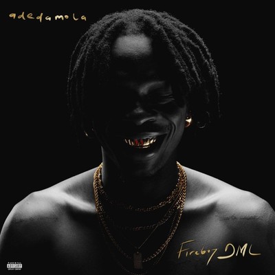 Fireboy DML - Adedamola Vinyl LP NEU 09555974