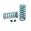 Hotchkis Coil Springs 1901r - Suspension Kit Adjustable Performance Heavy Duty