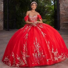 Chirstmas Red Quinceneara Dress for Women Lace Puffy Sleeves Wedding Party Dress