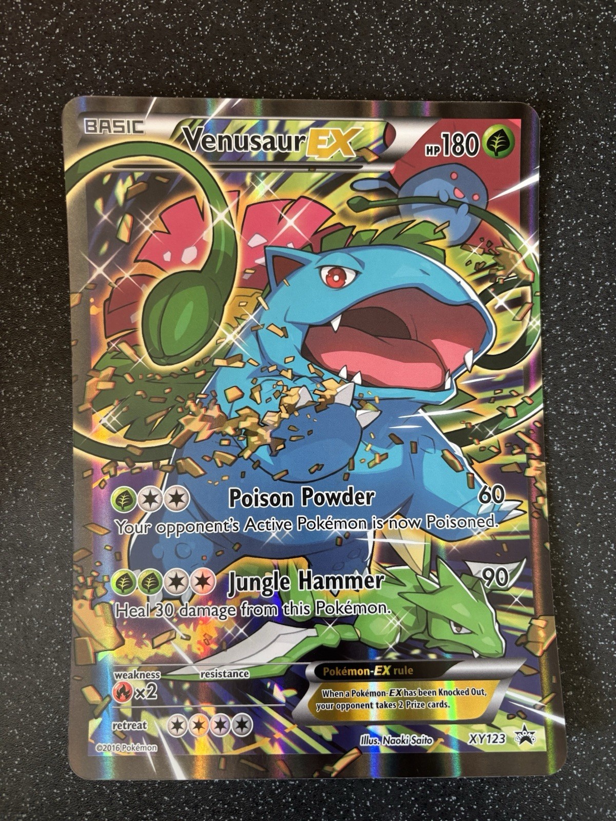 Venusaur EX