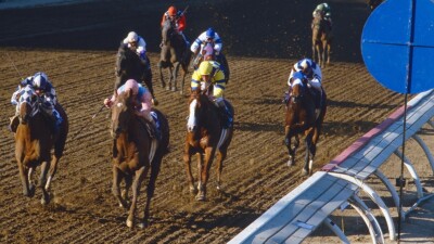 DVD - 1987 Breeders' Cup - Television Broadcast - Hollywood Park
