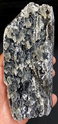 Chalcedony black coral formation # 381