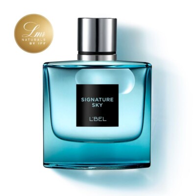  L'BEL SIGNATURE SKY SPRAY PERFUME FOR MEN 3 FL OZ FREE SHIPPING  PRIORITY MAIL