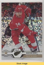 2019-20 Upper Deck Speckled Rainbow Foil Madison Bowey #279 READ 01ks