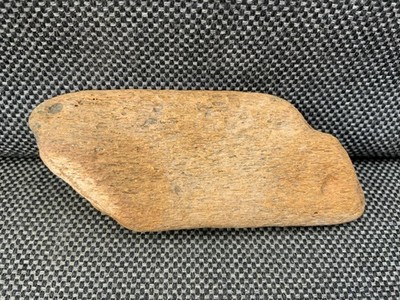 Fossil Wal Knochenabschnitt unbekannt sp, Nordsee, UK Exemplar selten!