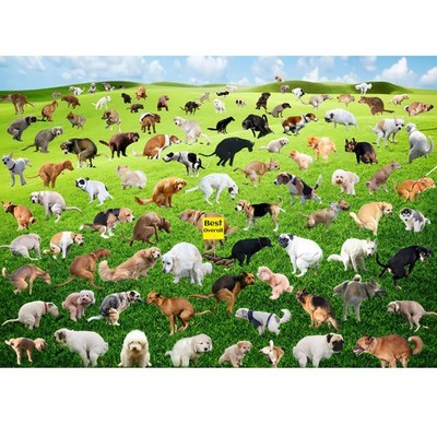 1000 Pieces Puzzles for Adults, Pooping Puppies Puzzle, Dogs 1000 pieces 