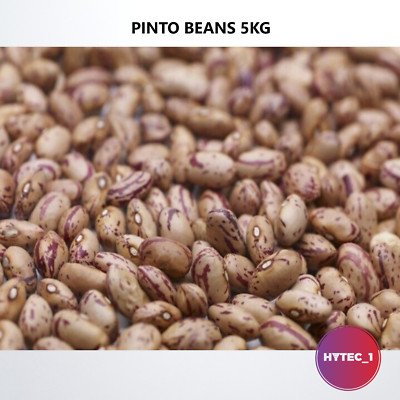 PINTO BEANS 5 KG BULK BUY VEGAN HEALTHY LONG LIFE PREMIUM QUALITY