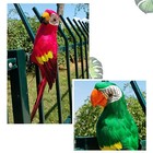 Bild 9 von 17
