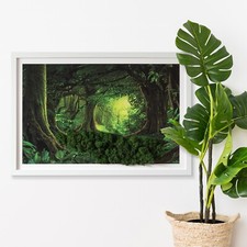 Natural Moss Wall Art - White Frame 60x40cm - Tropical Jungle