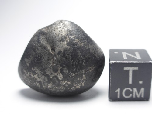17.25 g NWA 859 (Taza) Iron Meteorite