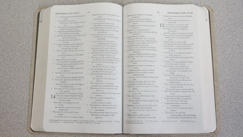 The Green Bible - NRSV - Harper Bibles - Bild 16 von 19
