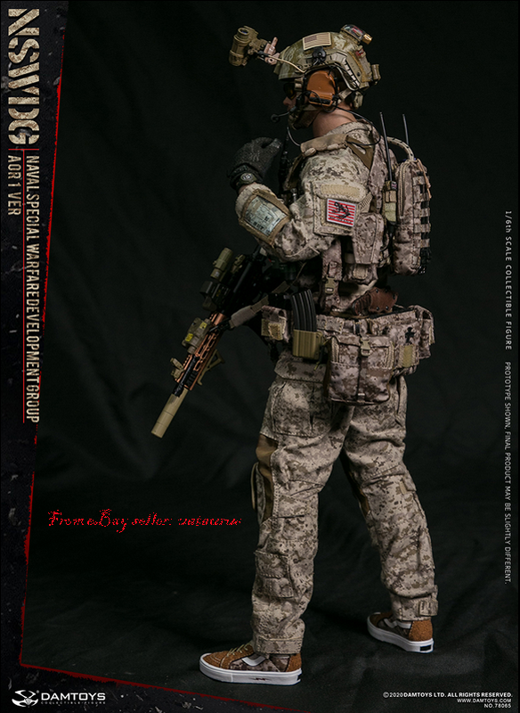 DAMTOYS 78065 1/6 Scale Action Figure for sale online | eBay