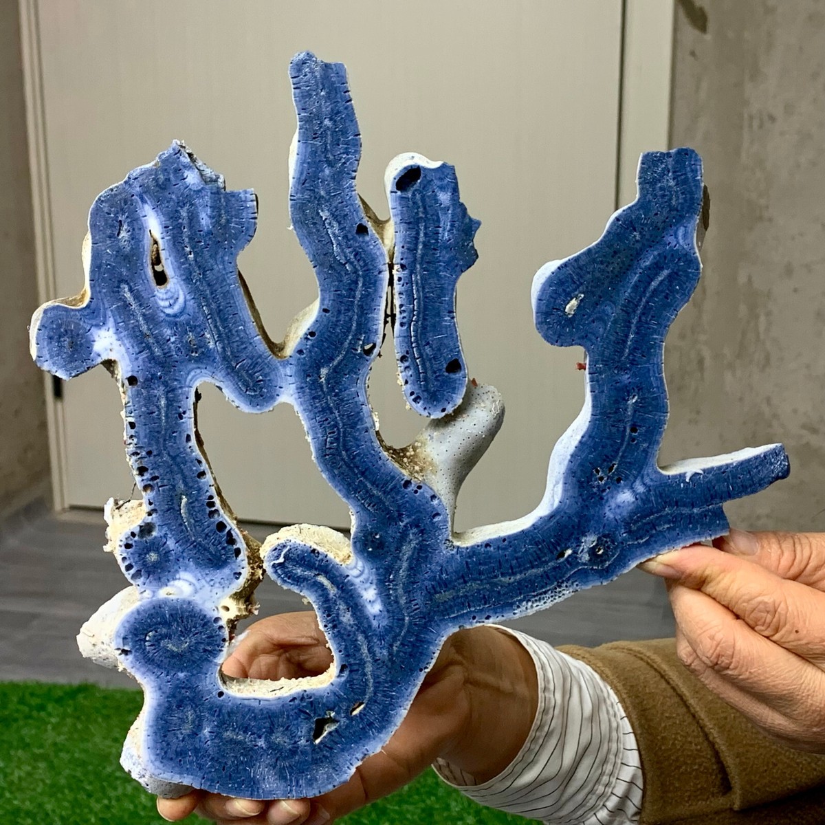 ミネラルコレクション 680GNatural Blue Coral Reef Cluster Marine Mineral Crystal