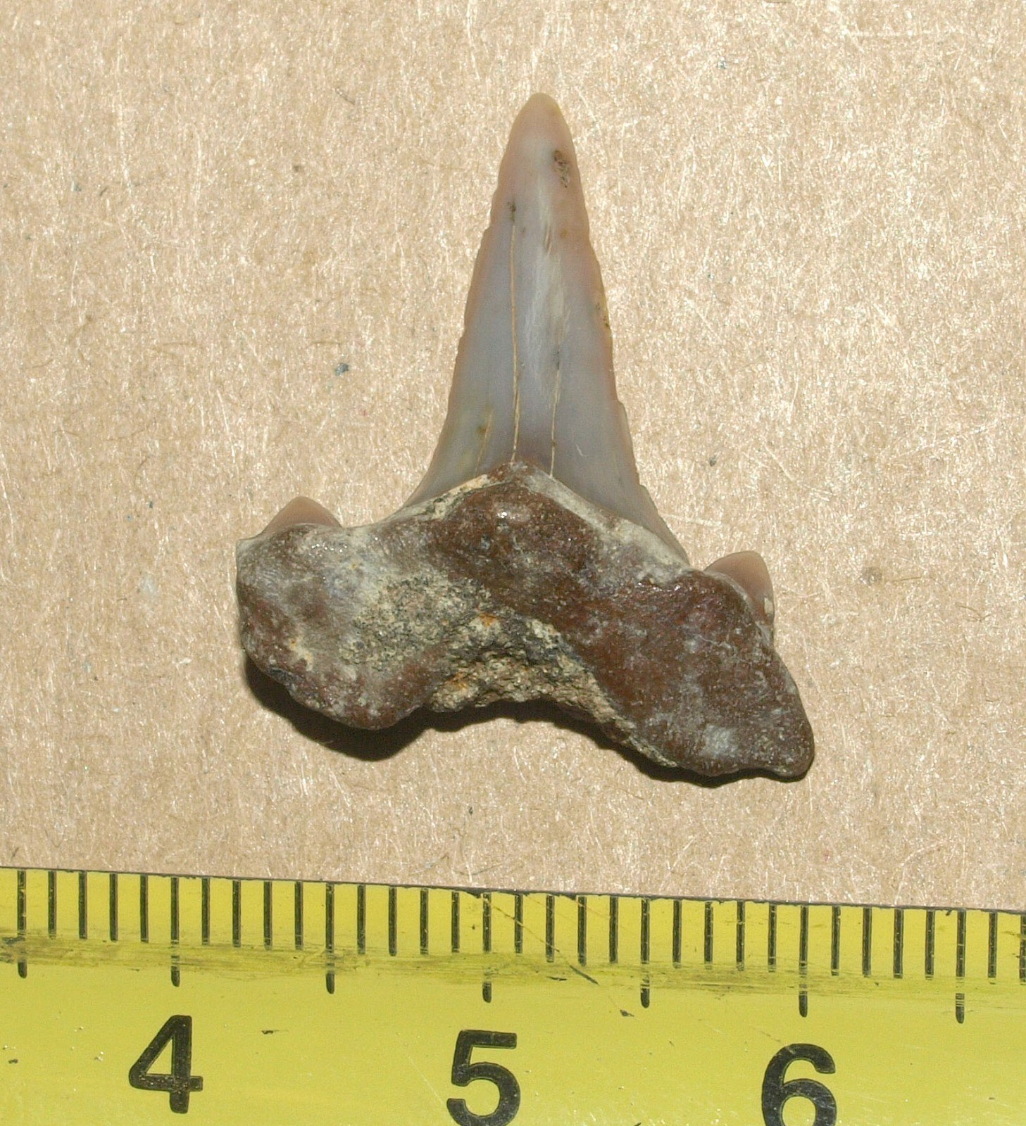 Picture 15 of 16
