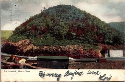 Vintage Postcard 1906 Bear Mountain Mauch Chunk PA Color  J Murray Jordan USA