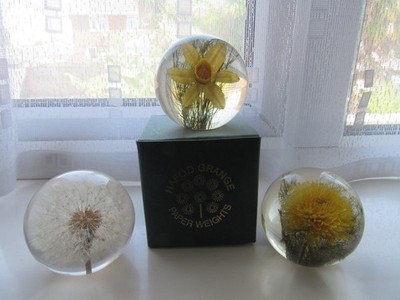 VINTAGE HAFOD GRANGE BRIEFBESCHWERER X 3...... NARZISSE... PUSTEBLUME...HELICHRYSUM