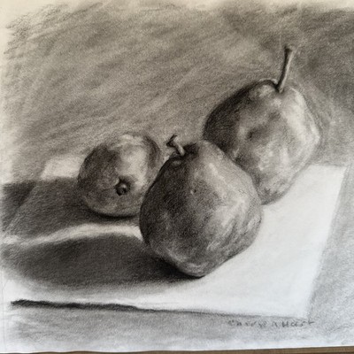 Charcoal Drawing Pear Still Life Artist Study Signed Unframed 10 x8  Made By Me