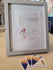 Robin Watercolour Painting