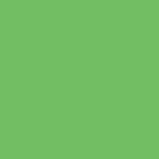 Savage Widetone Seamless Background Paper 46 Tech Green, 107" x 36'