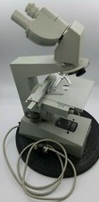 Aus Jena Microscope with Light and Condenser 649372