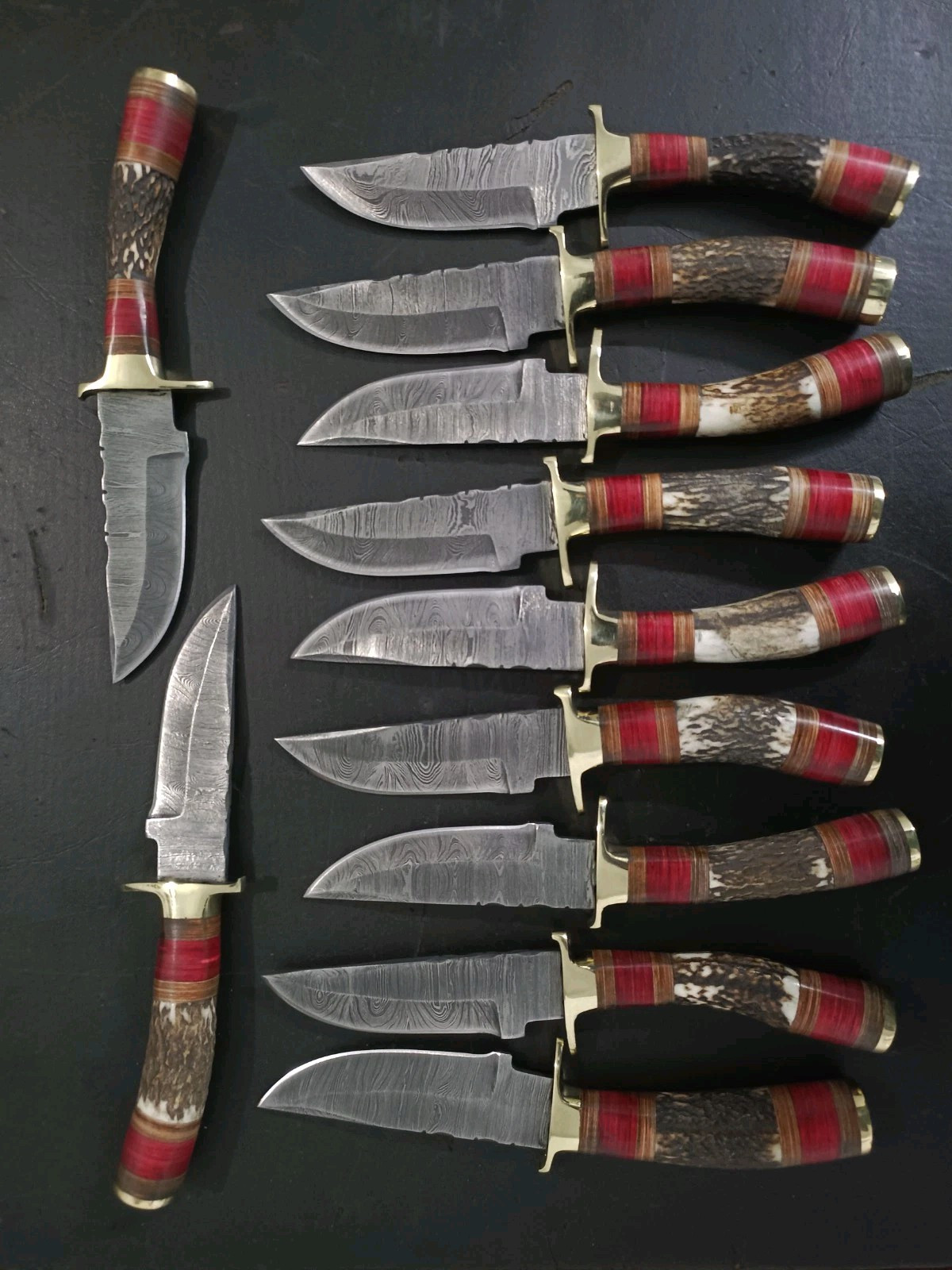 Lot Of 10, 8 Inches Handmade Damascus Steel Skinner Knives In Stag Horn Handle.