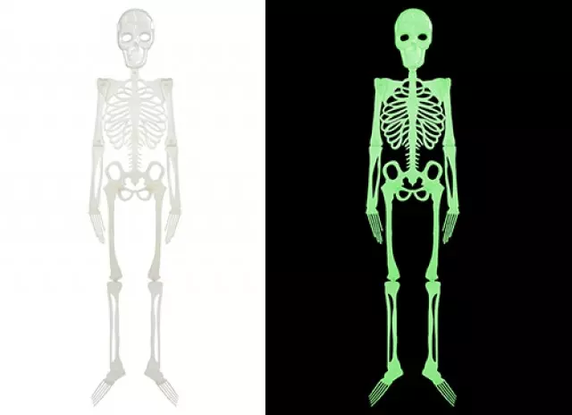 75cm Fluorescent Hanging Skeleton Prop Skull Halloween Party Decor