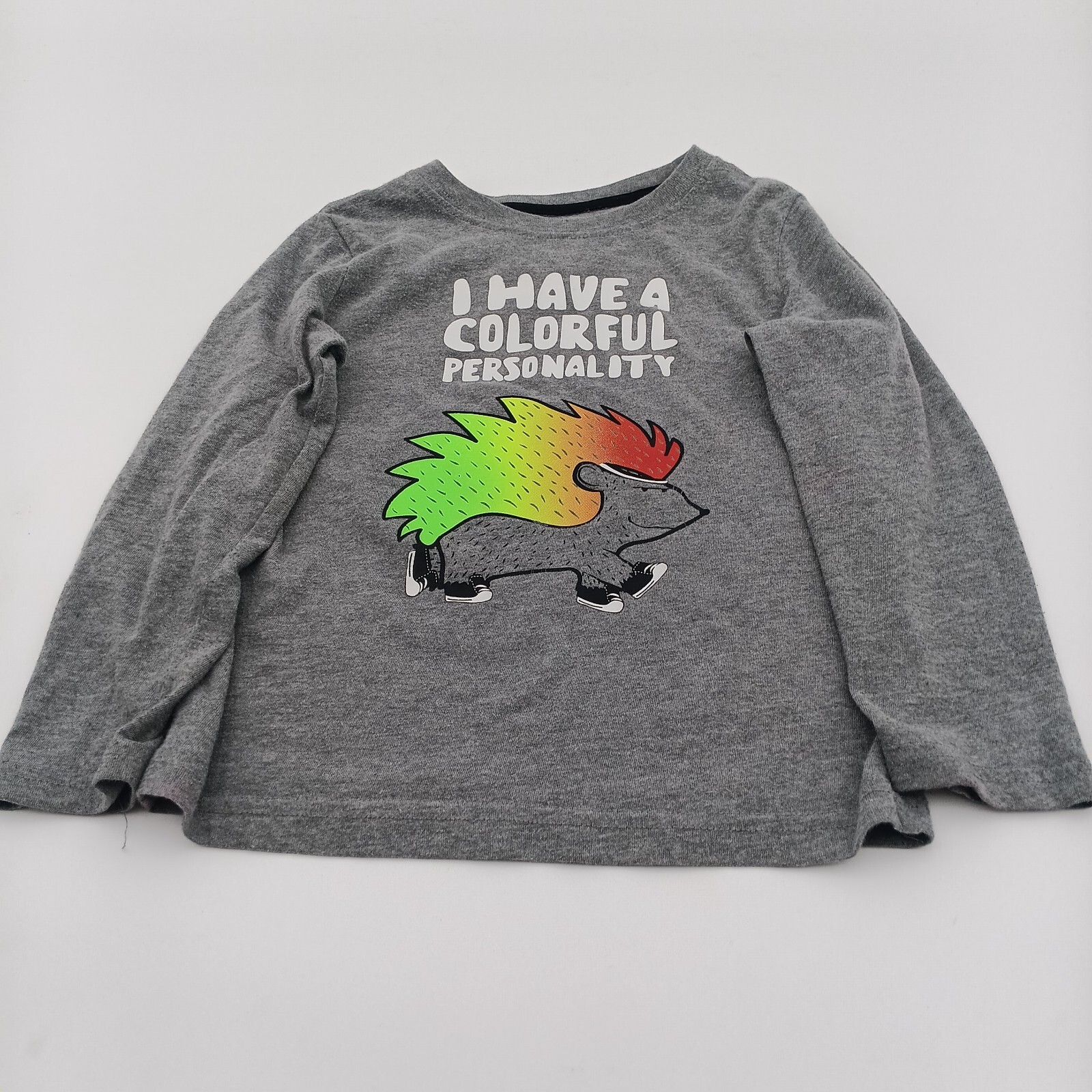 Okie Dokie T Shirt Boys 4T Gray I Have A Colorful Personality Long Sleeve