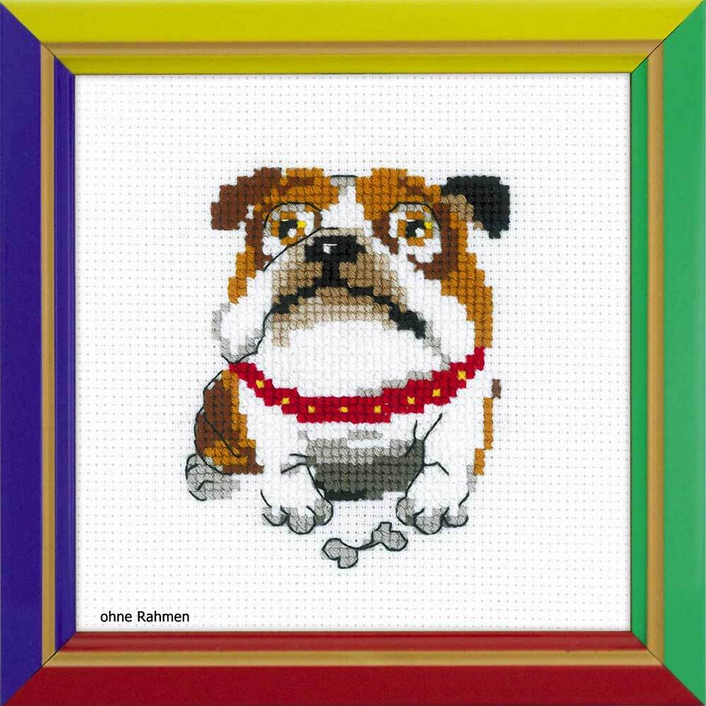 Riolis counted cross stitch Kit English Bulldog, DIY