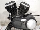 2012 Harley Sportster XL883N Engine Motor Complete WARRANTY