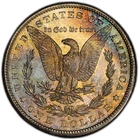 1881-S PCGS MS64 Morgan Dollar w/ Exceptional Rainbow Rev Toning & Strong Strike