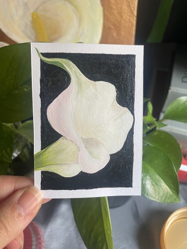 ACEO Original Calla Lily Floral Painting Acrylic Gouache ATC 2.5x3.5 OOAK
