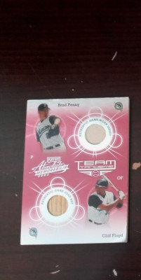 2002 Playoff Absolute Memorabilia Team Tandem Penny/Floyd Jersey/Bat Card #TT-13