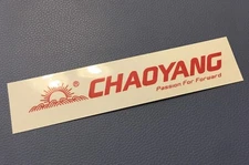 Rare ~ CHAOYANG GLOSSY Sticker Bicycle Bike Cycling TIRE WHEEL ACCESSORIES NOS