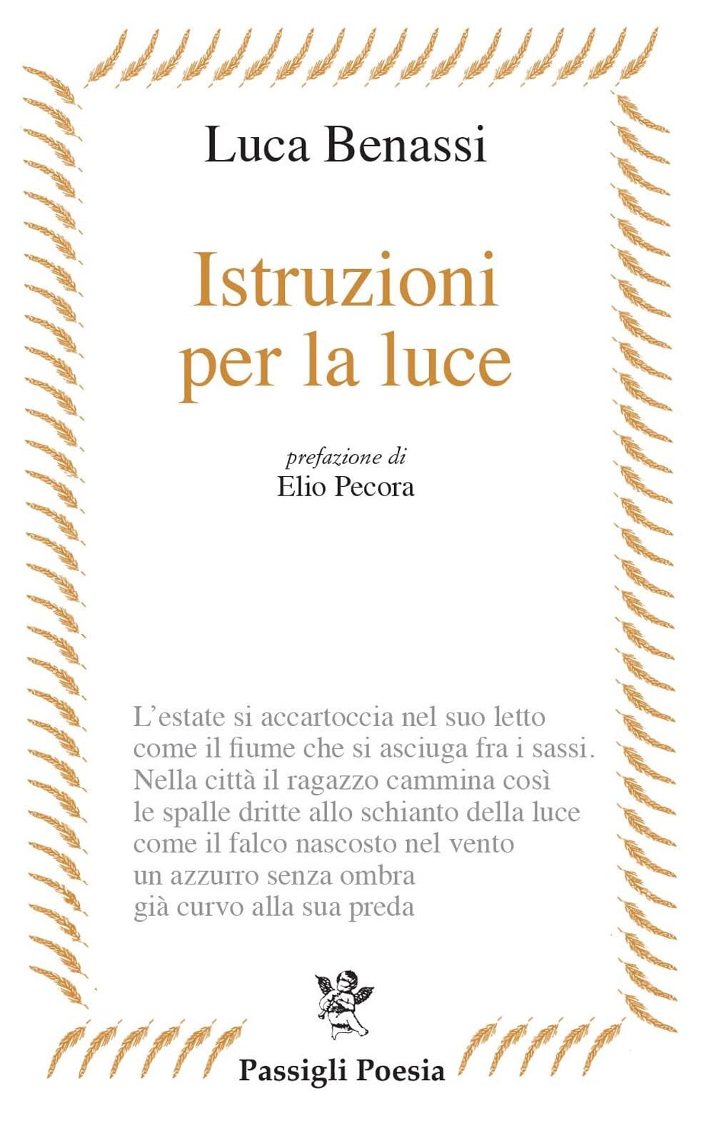 9788836818747 Istruzioni per la luce - Luca Benassi,Elio Pecora