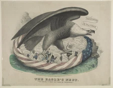 8" x 10" 1861 American Eagle in nest of American Flag,34 eggs