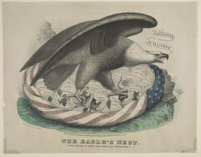 8'' x 10'' 1861 American Eagle in nest of American Flag,34 eggs