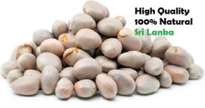 Jackfruit Seeds Sun Dried High Quality Free Shipping Ceylon Natural Food Best