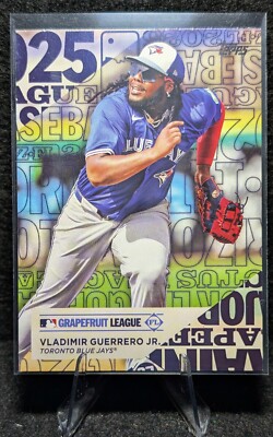 2025 Topps Series 1 Training Grounds TG-7 Vladimir Guerrero Jr Toronto Blue Jays