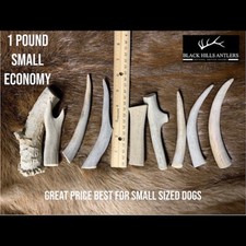 Small Deer Antler Dog Chew - 1 Pound Economy