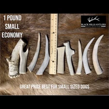 Small Deer Antler Dog Chew - 1 Pound Economy