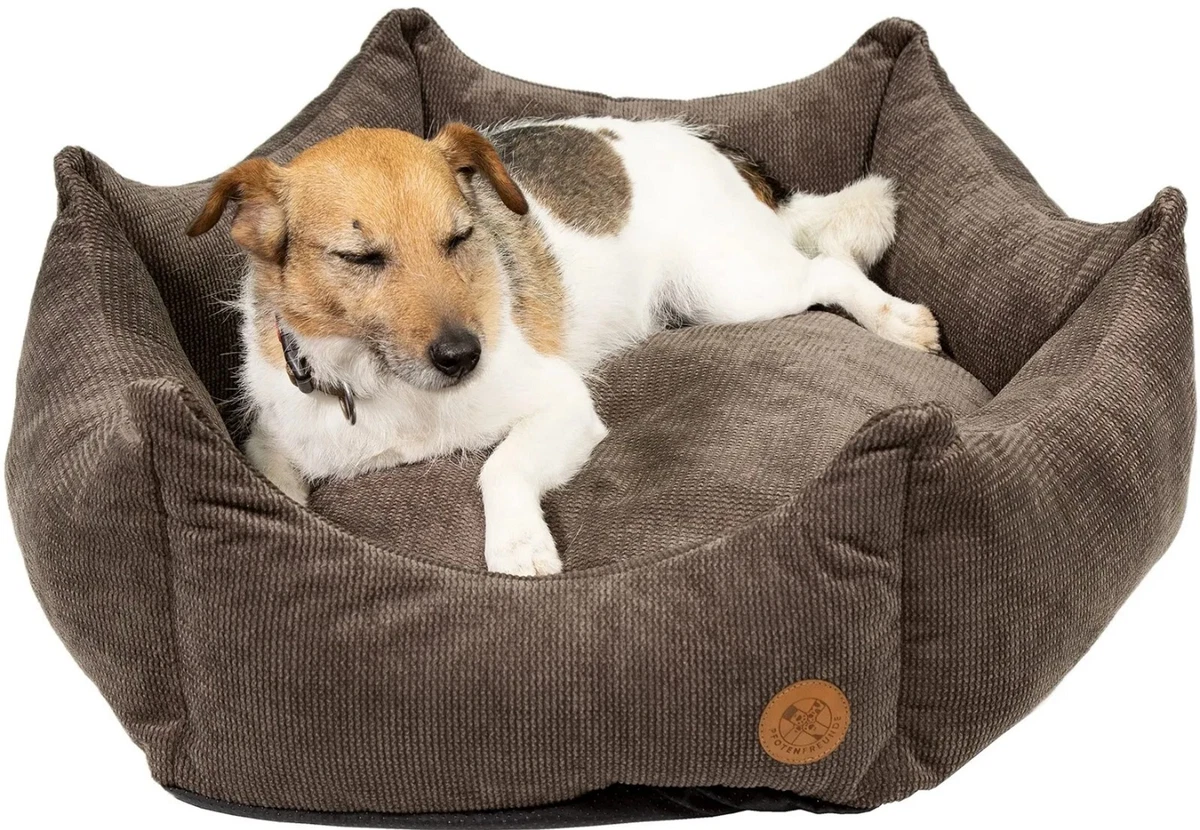 hundebett allergiker Orthopdisches Hundebett Wolkenruhe Trkis  Ergonomisch & Gelenkschonend   Wuffnase