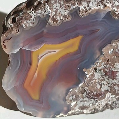 2 Matching Condor Agate Nodule Halves Glass Polish Blue/Grey Red Yellow Bands A+